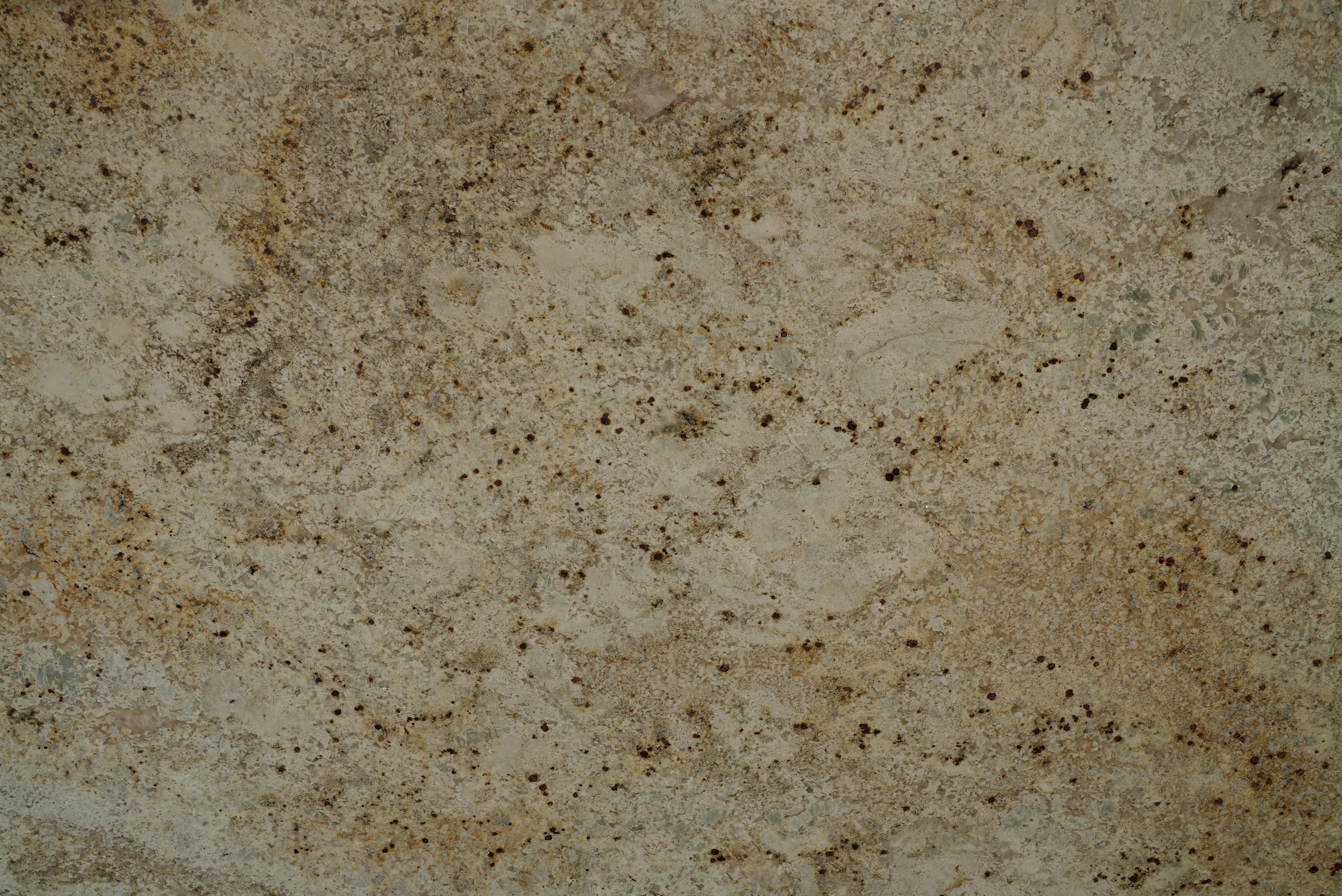 Colonial Cream