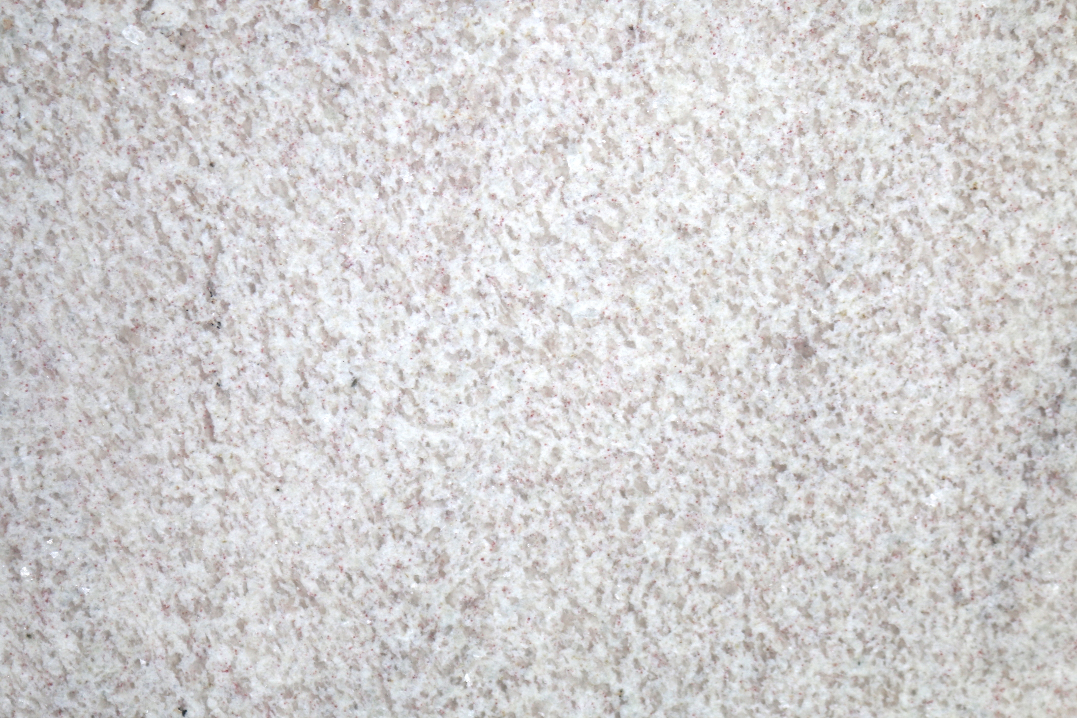 PANNAFRAGOLA